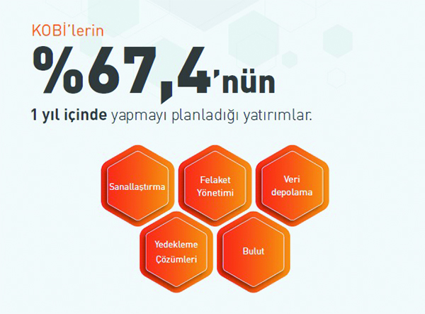 Kobililerin 1 Yıl İçinde Yapmayı Planladığı Yatırımlar